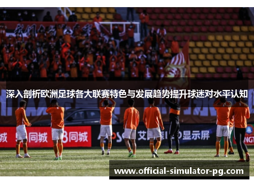 深入剖析欧洲足球各大联赛特色与发展趋势提升球迷对水平认知