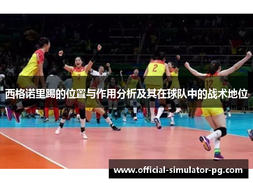 西格诺里踢的位置与作用分析及其在球队中的战术地位