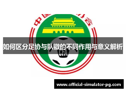 如何区分足协与队徽的不同作用与意义解析