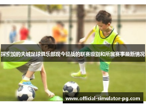 探索加的夫城足球俱乐部现今征战的联赛级别和所属赛事最新情况