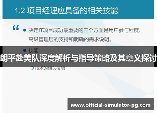 朗平赴美队深度解析与指导策略及其意义探讨